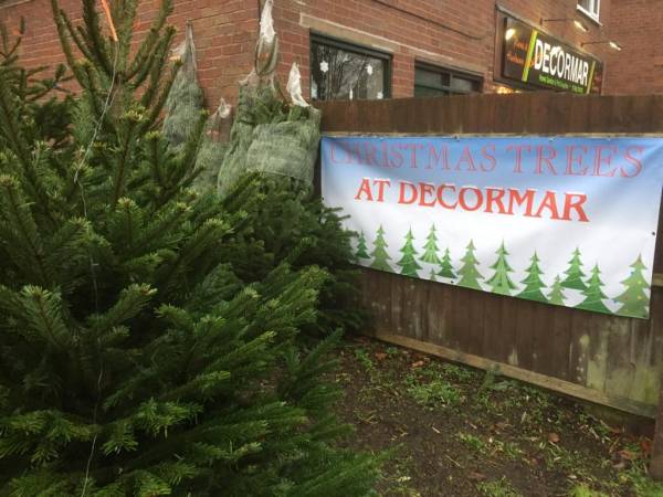 Decormar Hardware Wall Heath Christmas trees